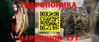 a pvp Кандалакша