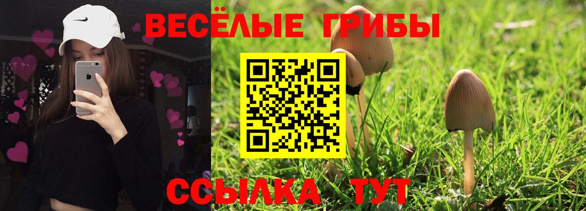 Псилоцибиновые грибы мухоморы Краснотурьинск